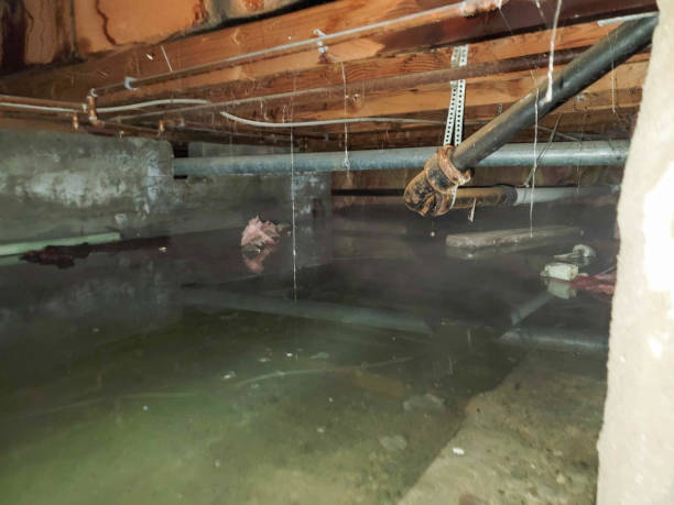  Tamiami, FL Water damage restoration Pros