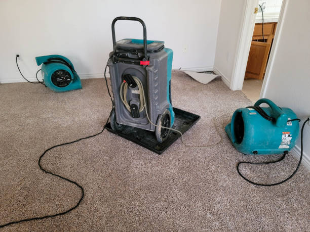 Best Water damage restoration company  in Tamiami, FL