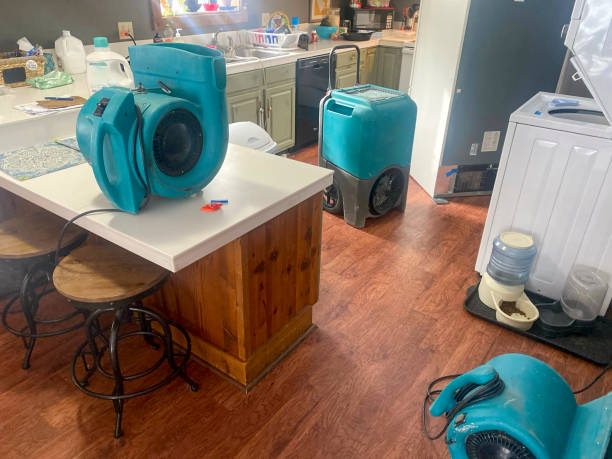 Best Flooded house restoration  in Tamiami, FL