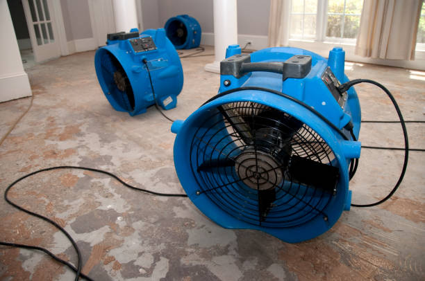 Best 24/7 water damage repair  in Tamiami, FL