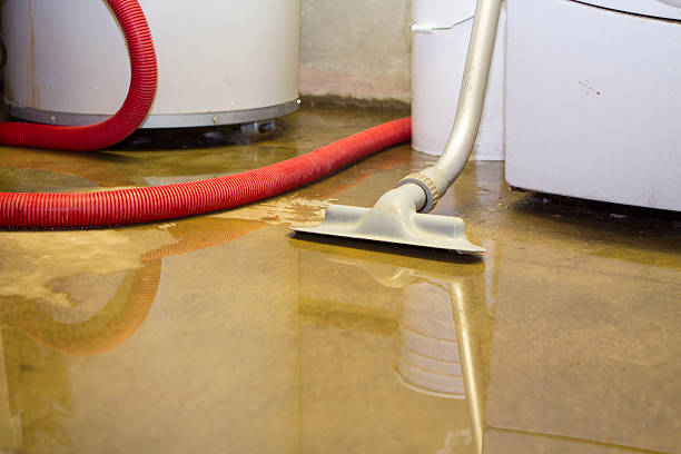 Best Commercial water damage restoration  in Tamiami, FL