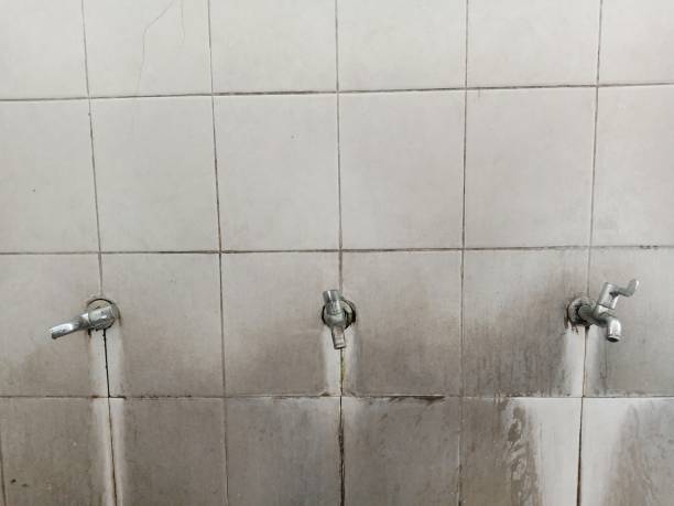 Best Water damage cleanup near me  in Tamiami, FL