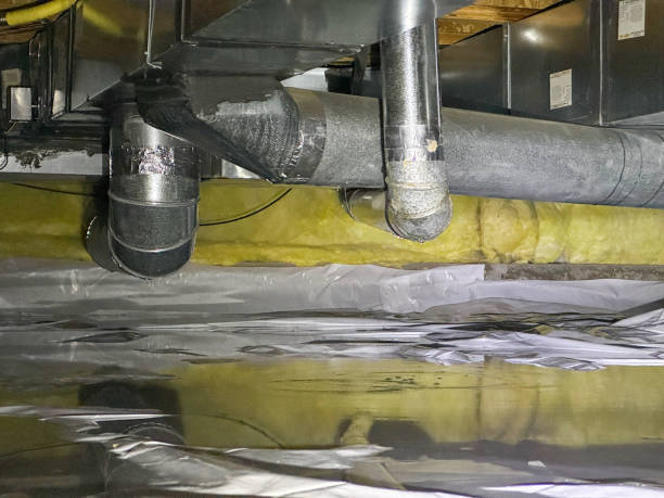 Best Water damage cleanup near me  in Tamiami, FL