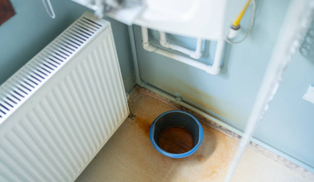 Best Water damage restoration experts  in Tamiami, FL