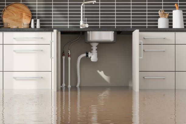 Best Local water damage restoration  in Tamiami, FL