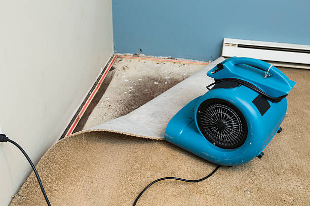 Best Fire Damage Restoration  in Tamiami, FL